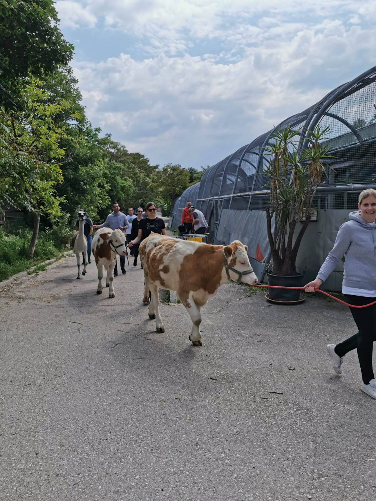 Mitarbeiter:innen mit Tieren