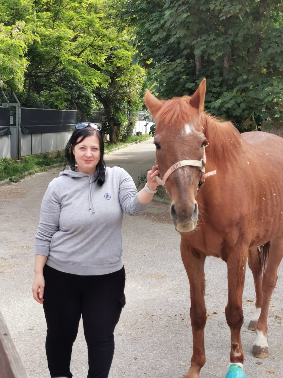 Mitarbeiterin mit Pferd