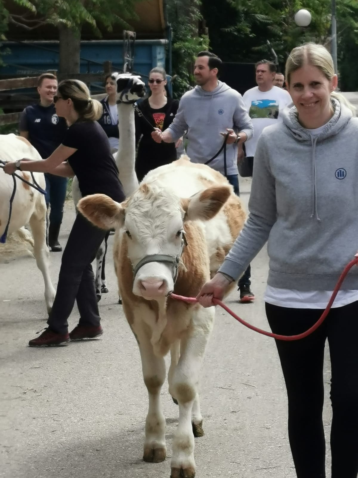 Mitarbeiter:innen mit Tieren
