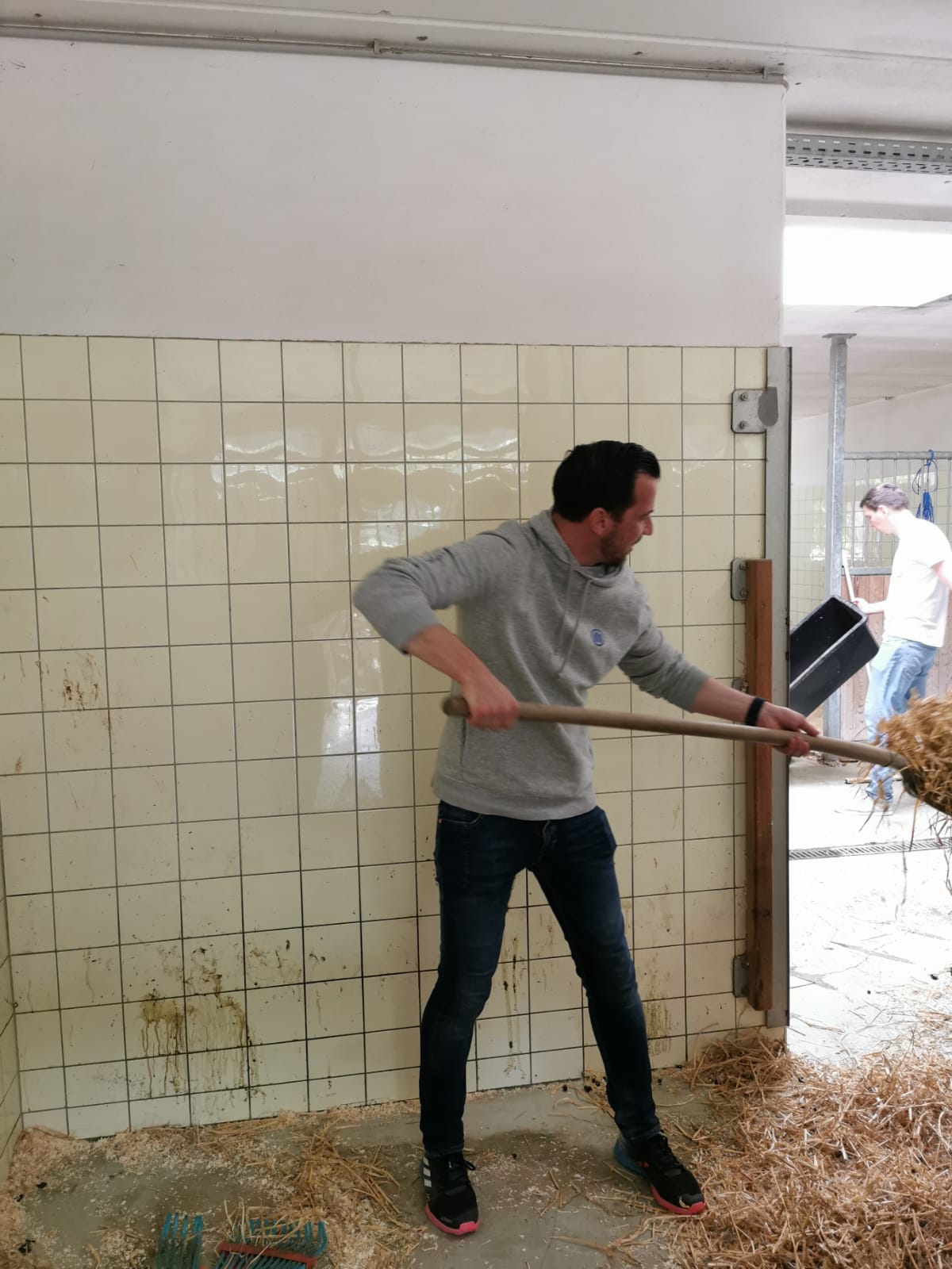 Mitarbeit bei Tierschutz Austria