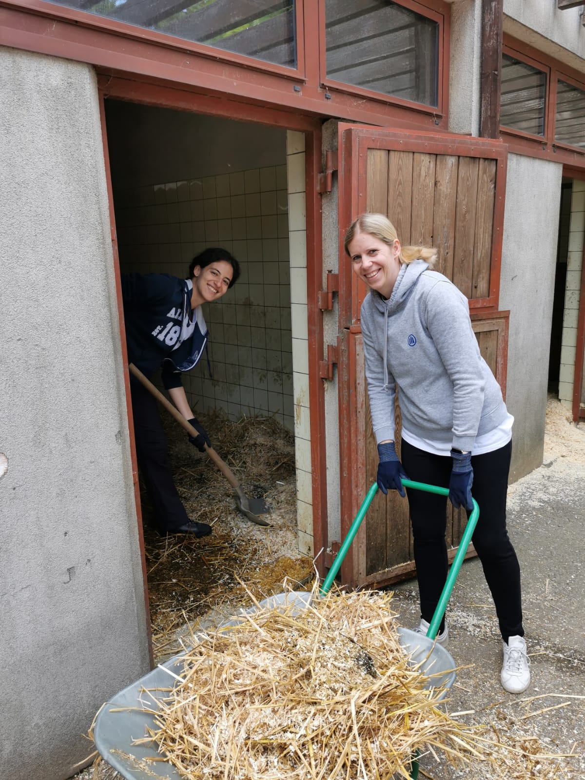 Mitarbeit bei Tierschutz Austria