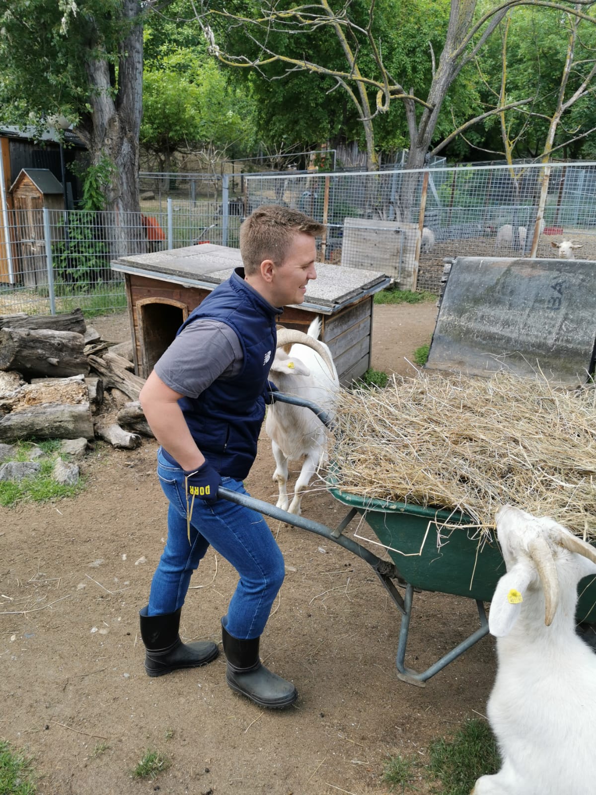 Mitarbeit bei Tierschutz Austria