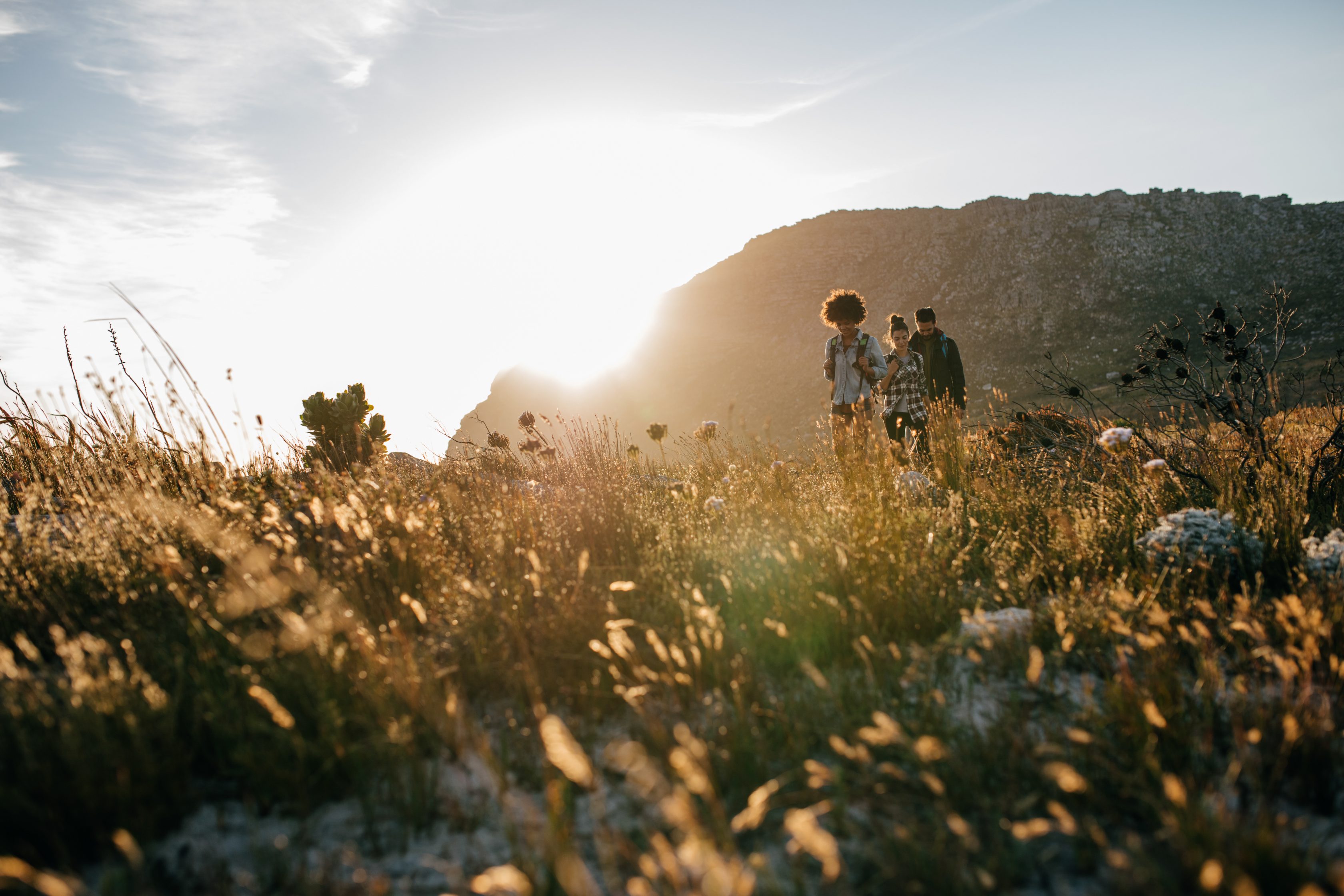Willkommen im Online-Portal der Allianz Vorsorgekasse AG